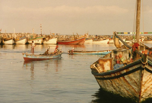 hodeida01.jpg (73898 bytes)