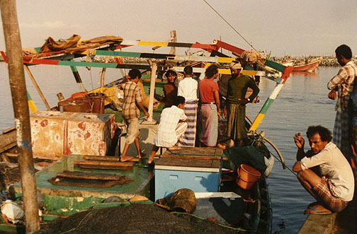 hodeida04.jpg (97704 bytes)