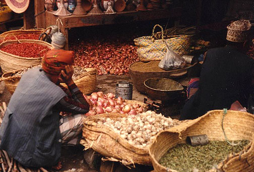 muzzafur05.jpg (98146 bytes)