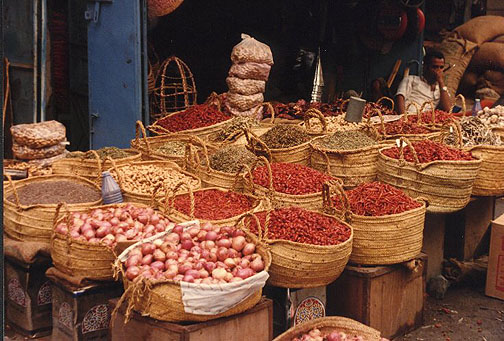 muzzafur06.jpg (107573 bytes)