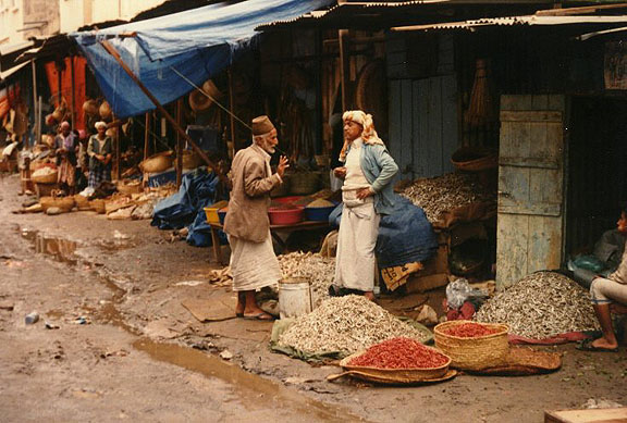 muzzafur08.jpg (112502 bytes)