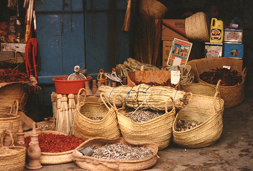 muzzafur09.jpg (99827 bytes)