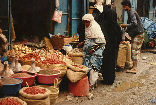 muzzafur16.jpg (96724 bytes)