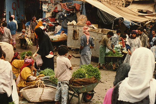 muzzafur19.jpg (106772 bytes)