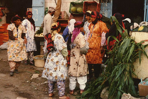taiz01.jpg (104308 bytes)