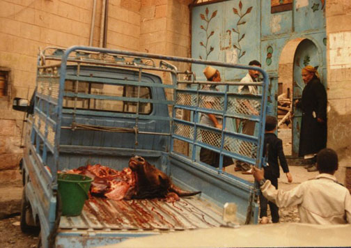 taiz07.jpg (91320 bytes)