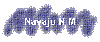 Navajo N M