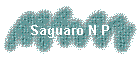 Saguaro N P