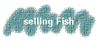 selling Fish