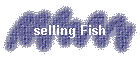 selling Fish