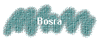 Bosra