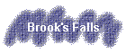 Brook's Falls