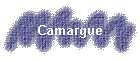 Camargue