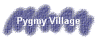 Pygmy Village