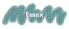 Essex