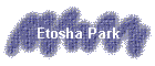 Etosha Park