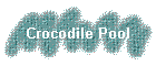 Crocodile Pool