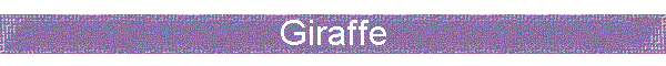 Giraffe