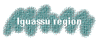 Iguassu region