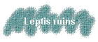 Leptis ruins