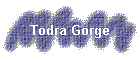 Todra Gorge