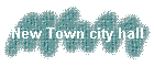 New Town city hall