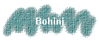 Bohinj