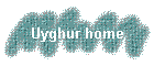 Uyghur home