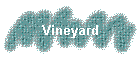 Vineyard