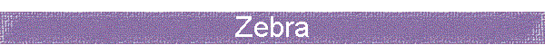 Zebra