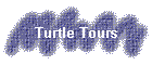 Turtle Tours